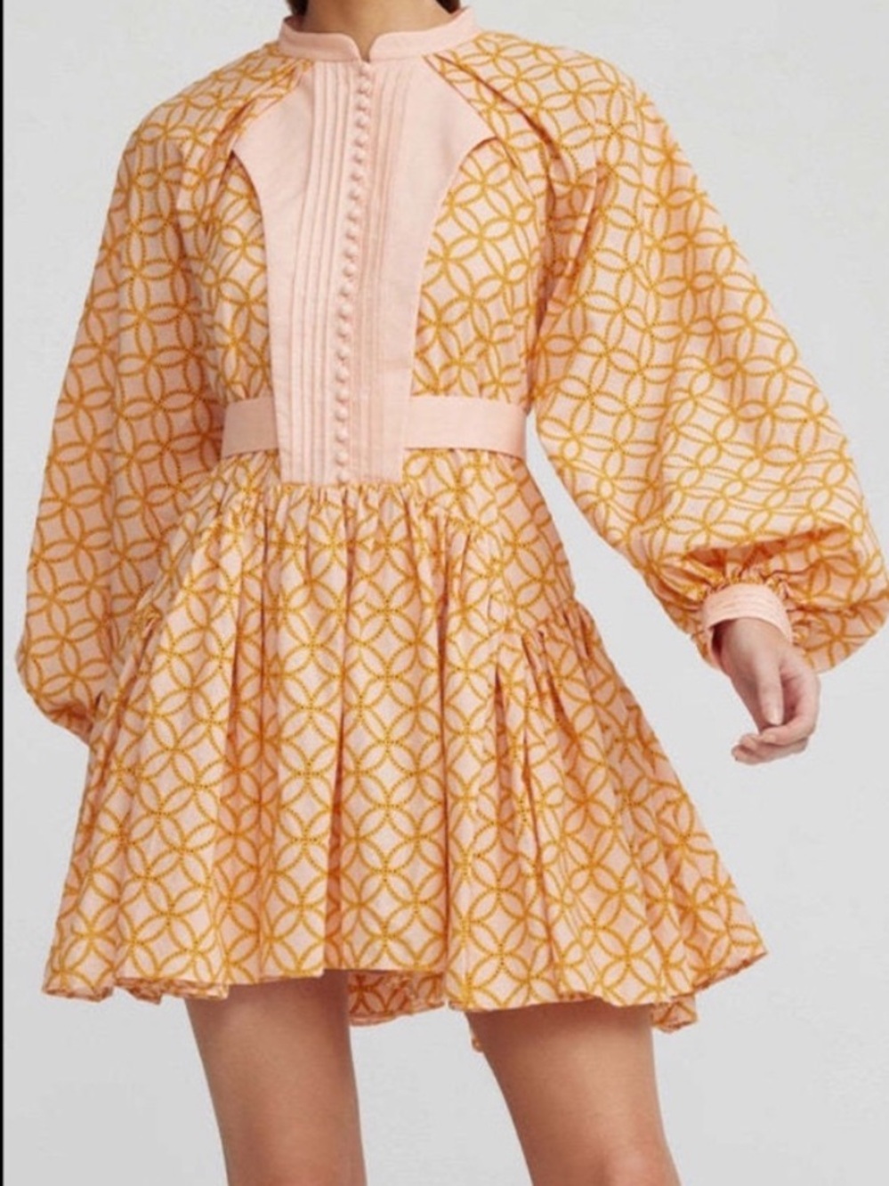 Roiii Embroidered  Baroque Puff Sleeve Full Skirt Dress